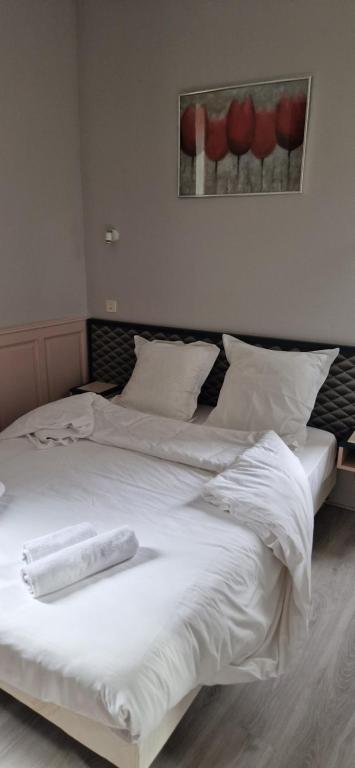 Postel nebo postele na pokoji v ubytování Hotel 1610