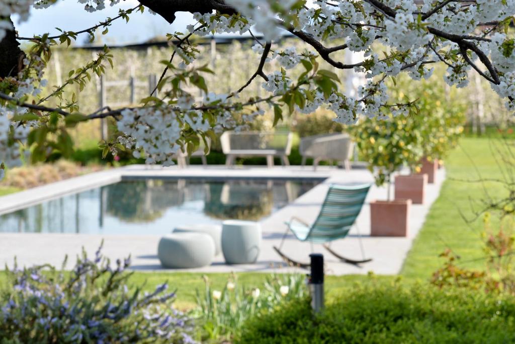 un jardin avec une piscine et une chaise verte dans l'établissement Haus Wiesenstein, à Lana