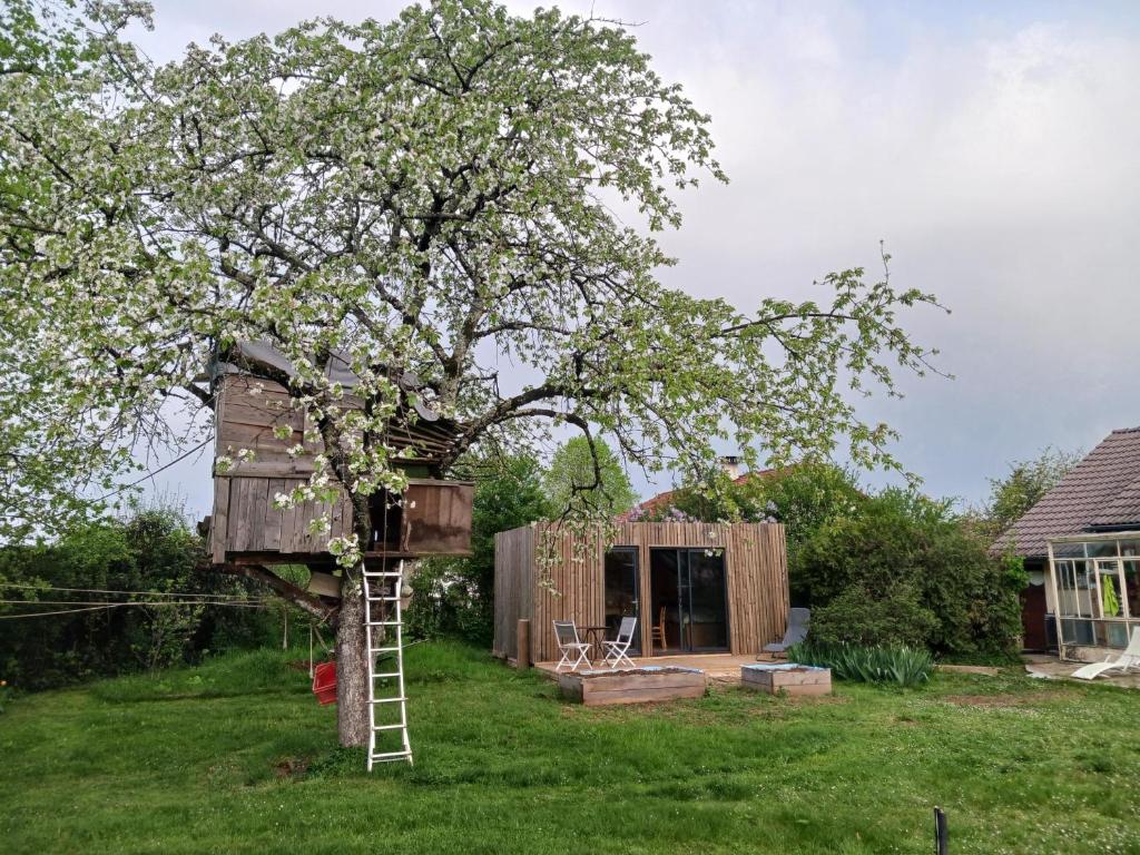 une cabane dans les arbres dans une cour avec une échelle dans l'établissement studio de jardin, à Domblans