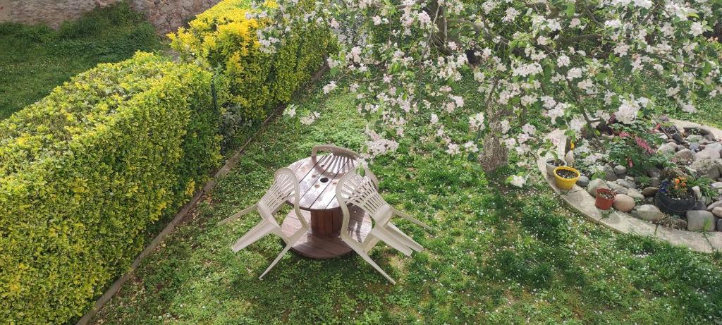 an overhead view of a garden with a bench and flowers at La maison du pêcheur in Livinhac-le-Haut