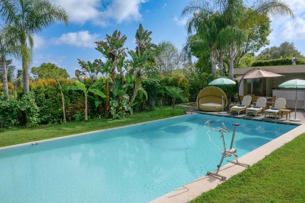 uma piscina com cadeiras e palmeiras em Stunning private Villa with Pool in Antibes em Antibes