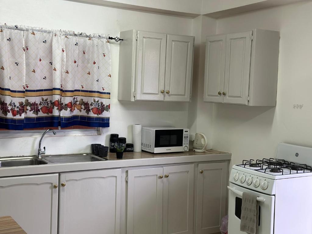 eine Küche mit weißen Schränken und einer Mikrowelle in der Unterkunft Cozy Quarters Tobago in Scarborough