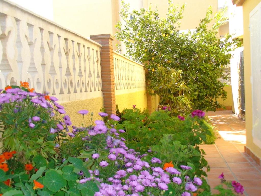 a garden with flowers in front of a balcony at Casa a 85 metros playa 158 m2 4 dorm WIFI in Oliva
