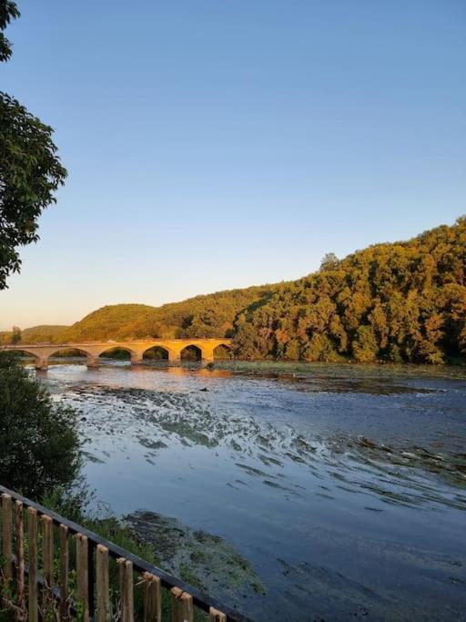 eine Brücke über einen Fluss neben einem Hügel in der Unterkunft Gîte sur la Dordogne in Lalinde