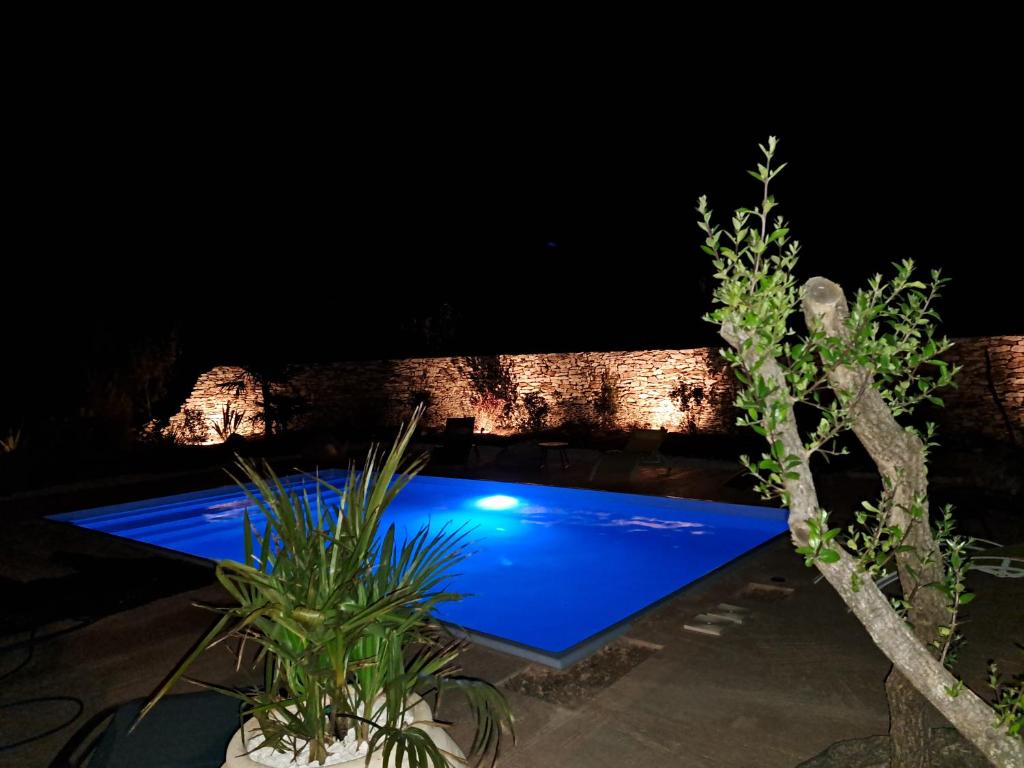 - une piscine éclairée la nuit dans l'établissement Chalet n * 1 au cœur du maquis, à Bonifacio