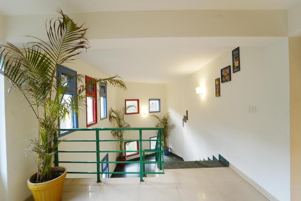 a hallway with a staircase and a potted plant at Sonam Plaza in Ludhiana