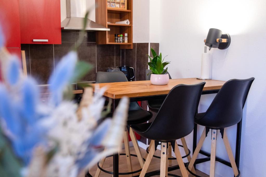 a kitchen with a wooden table and chairs at Cosy Castle Flat in Ljubljana Center - FREE PARKING in Ljubljana