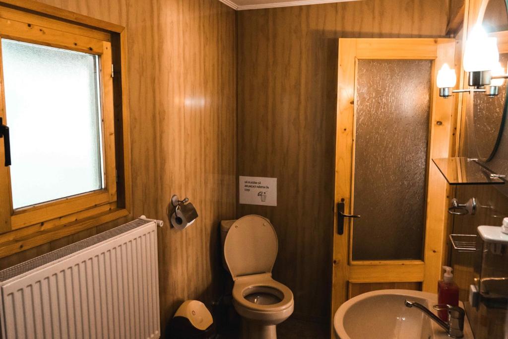 a bathroom with a toilet and a sink at Pensiunea Casa Soarelui in Podu Dîmboviţei