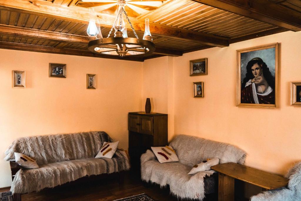 a living room with two chairs and a table at Pensiunea Casa Soarelui in Podu Dîmboviţei