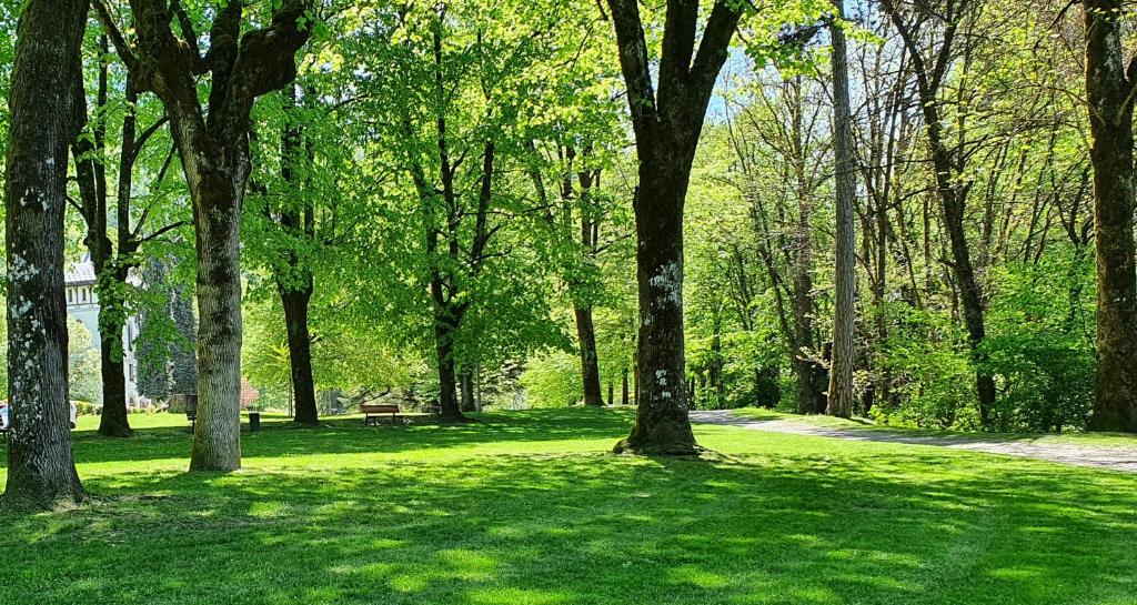 un parque con césped verde, árboles y un camino en Appartement Parc en Saint-Gervais-les-Bains