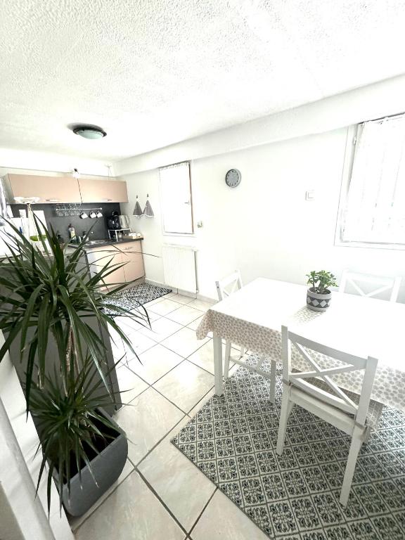 un salon avec une table et une cuisine dans l'établissement T2 La roseraie, à Chambéry