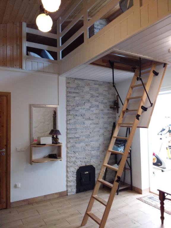 een hoogslaper met een ladder in een kamer bij Домик для двоих in Pärnu