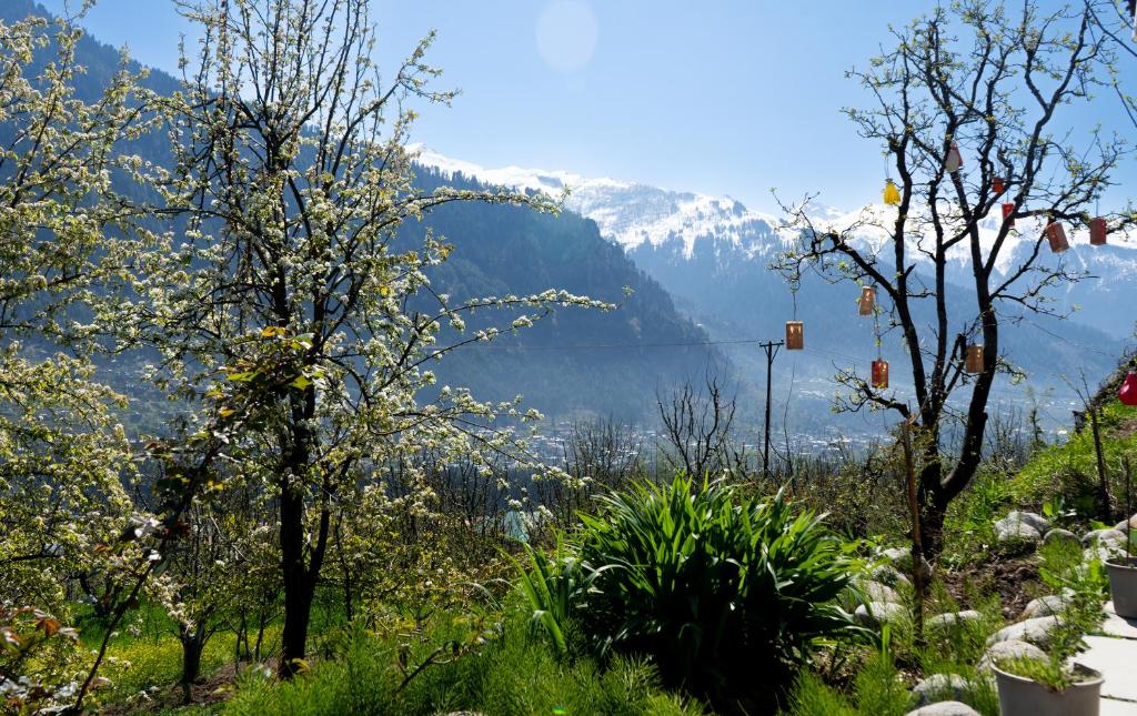 Paesaggio naturale nelle vicinanze dell'ostello