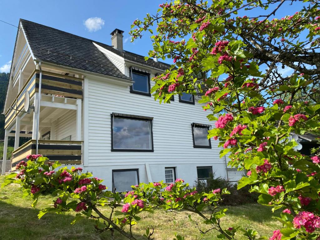 ein weißes Haus mit rosa Blumen davor in der Unterkunft Store Ringheim Apartment - Villa Hjadlane in Vossevangen