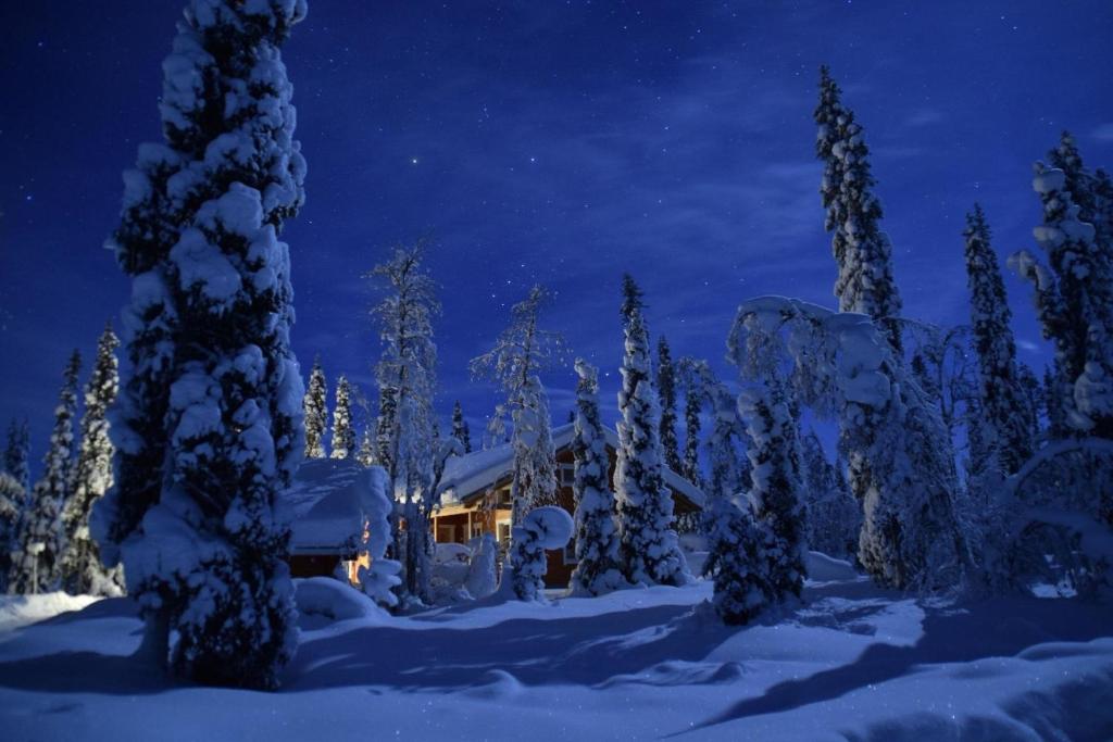 una casa en un bosque cubierto de nieve por la noche en Verträumtes Blockhaus mitten im Wald, en Rauhala