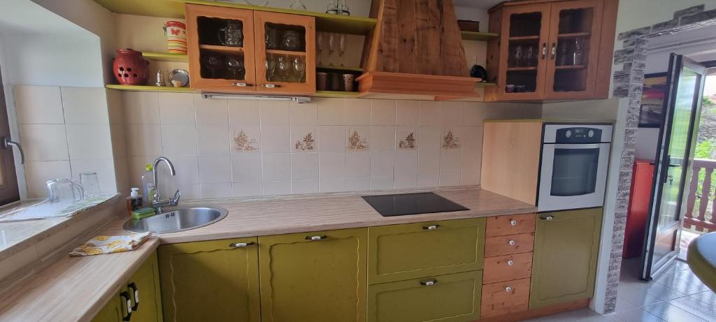 Köök või kööginurk majutusasutuses Apartma Aria&Karra