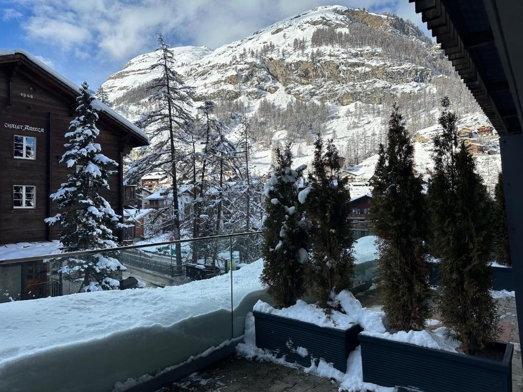 Hotel Bristol - Resim 14