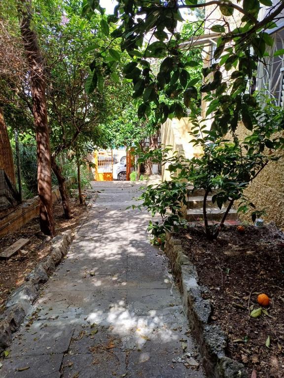 Une allée avec des arbres et un bâtiment dans l'établissement Romeo suite, à Haïfa
