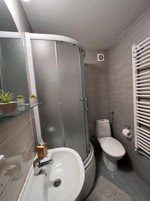 ein Bad mit einer Dusche, einem Waschbecken und einem WC in der Unterkunft Mirkovic Lux apartman in Niš