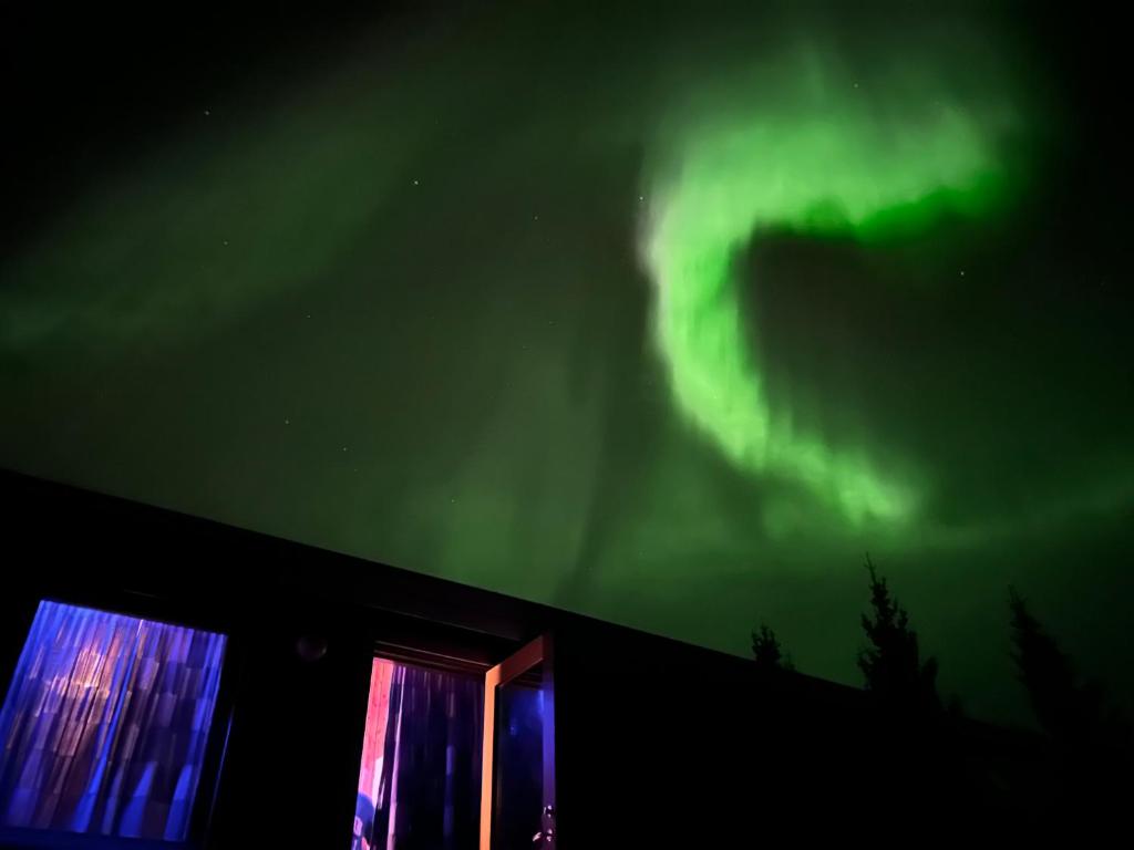 海拉的住宿－Arhus Cottage and Camping，天空中北极光的图像