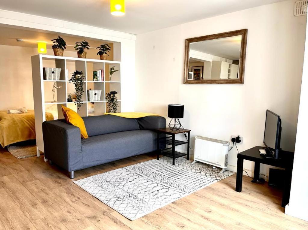 a living room with a blue couch and a mirror at Cosy Apartment Studio Close to Cafes in Norwich