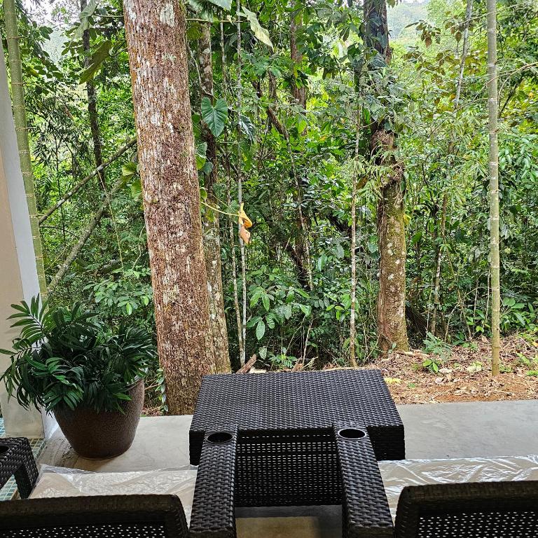 Zahrada ubytování OLP Treehouse Cerro Azul