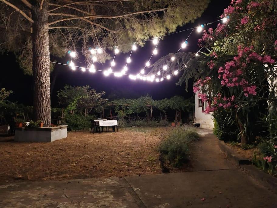 尼科洛西的住宿－Tenuta SGB - Il profumo del vino Etna Nicolosi，夜晚在花园上悬挂的一串灯