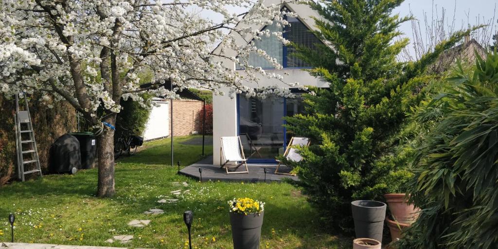 une maison avec un arbre de Noël dans la cour dans l'établissement Logement entier, indépendant et au calme (2 à 4 personnes) à Cormeilles en Parisis, à 15 mn de Paris, à Cormeilles-en-Parisis