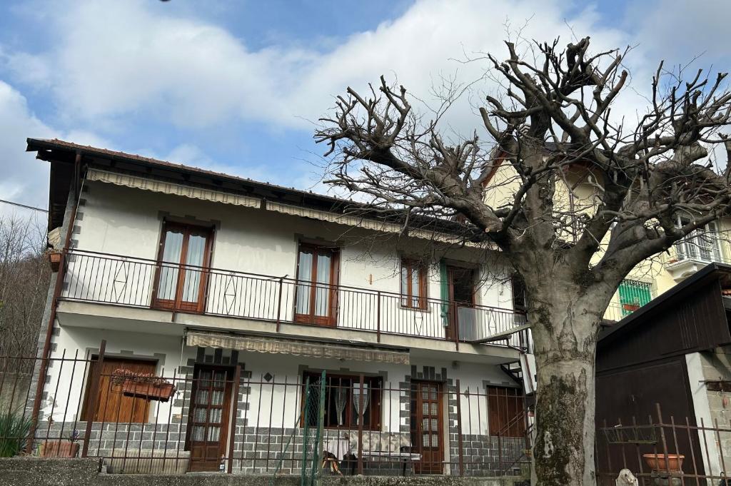 a white house with a tree in front of it at CASA BICIURLIN in Agrano