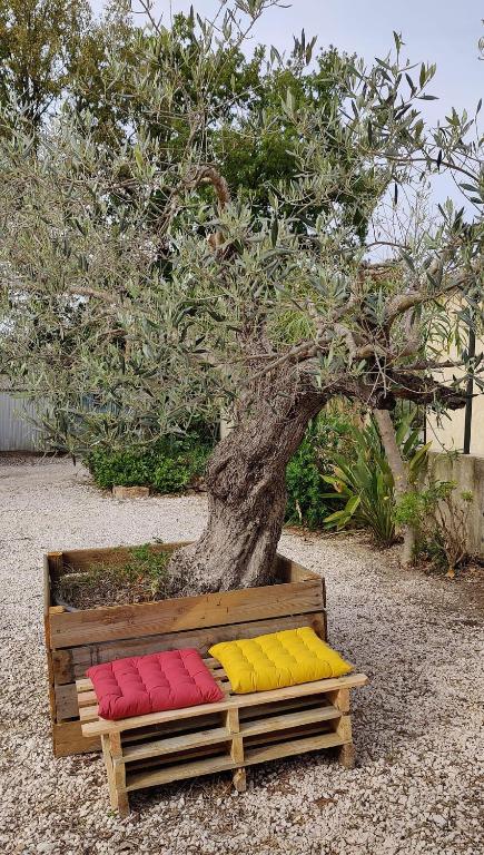 un banc en bois avec quatre coussins colorés devant un arbre dans l'établissement Les figues et les cigales, à Hyères