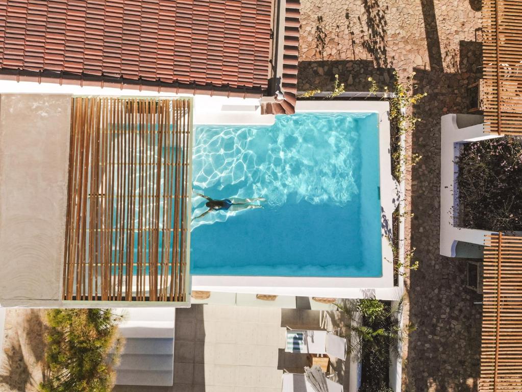 una vista aérea de una piscina con un pájaro en el agua en The Green House Alentejo by Santiago de Alfama en Vila Nova da Baronia