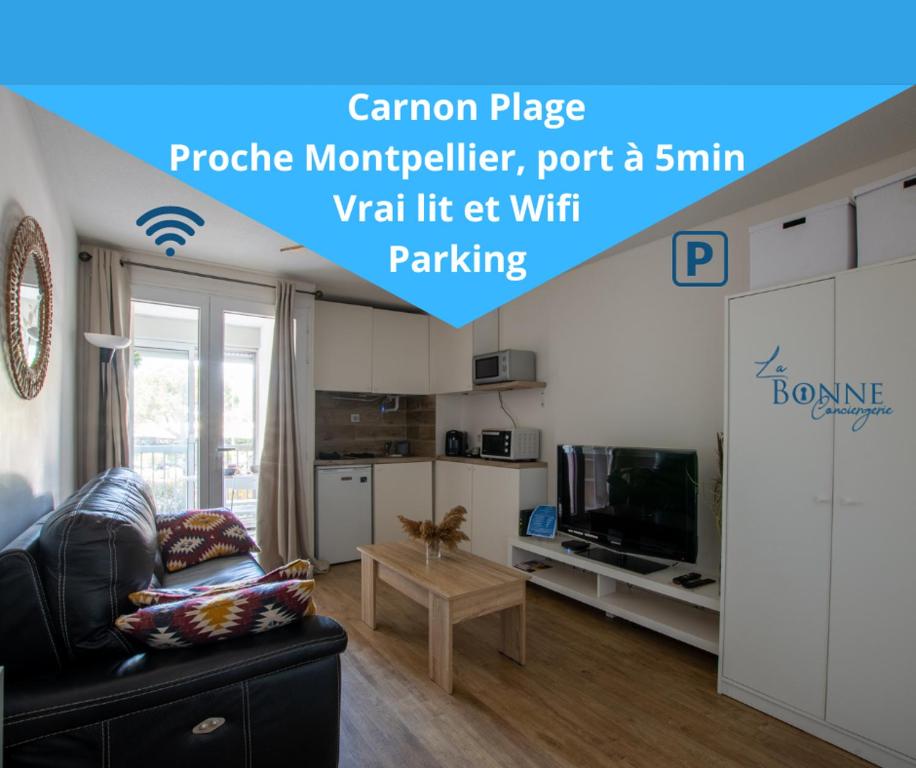 Televízia a/alebo spoločenská miestnosť v ubytovaní Rêves de Mer Carnon Plage Parking privé