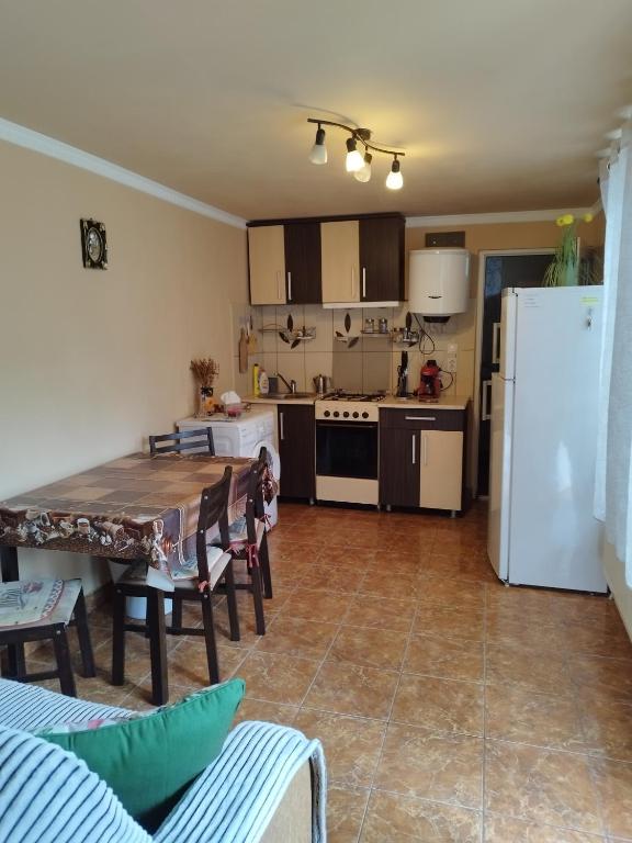 a kitchen with a table and a white refrigerator at Casa Sofiandra in Paleu