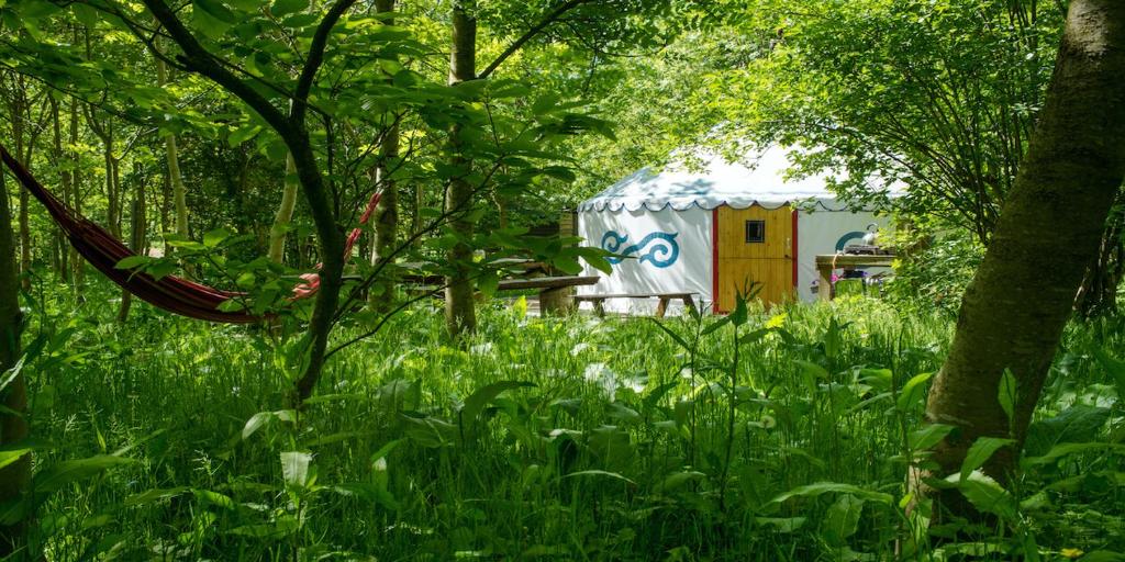 a yurt in the middle of a forest with tall grass at Elessar Yurt Village in Chichester