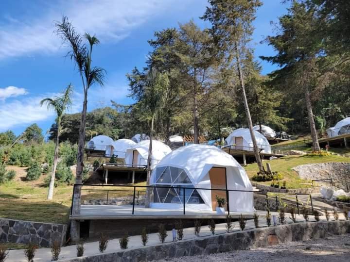 a group of white tents in a field with trees at Hotel Glamping & Restaurant Fuerza Ancestral in Tlalmanalco de Velázquez