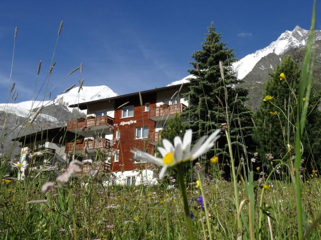 a hotel in the mountains with a field of flowers at Apartments Alpenfirn Saas-Fee in Saas-Fee