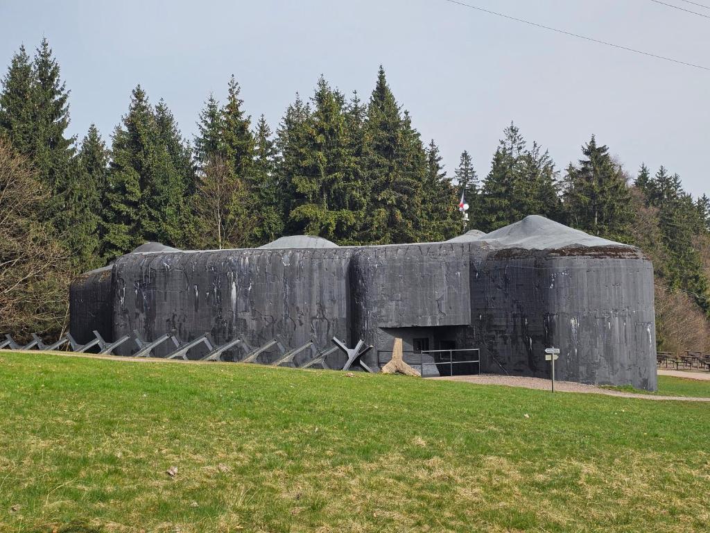 Fotografie z fotogalerie ubytování Krkonošská chaloupka v Černém Dole