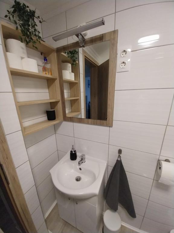 Koupelna v ubytování Anna Apartman