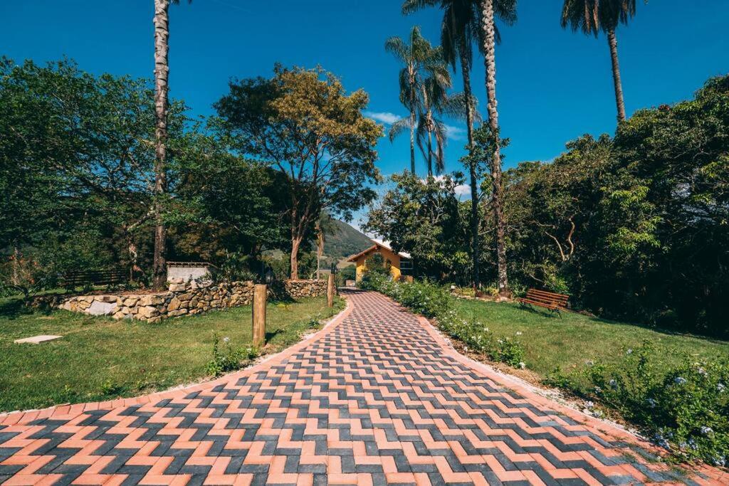 een bakstenen pad met palmbomen en een huis bij Casa de Campo com lazer , pássaros e muito verde. in Poços de Caldas