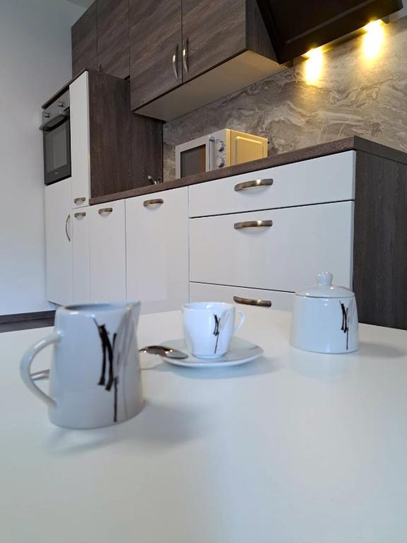 Kuchyň nebo kuchyňský kout v ubytování Rentcenter79