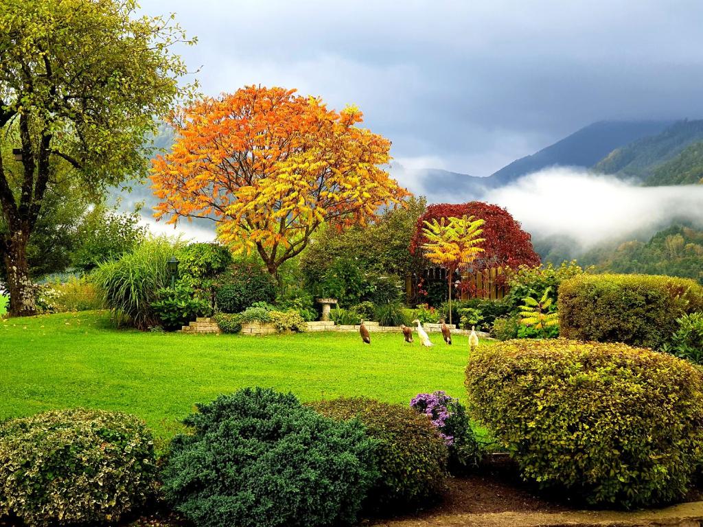 Paesaggio naturale nelle vicinanze dell'affittacamere