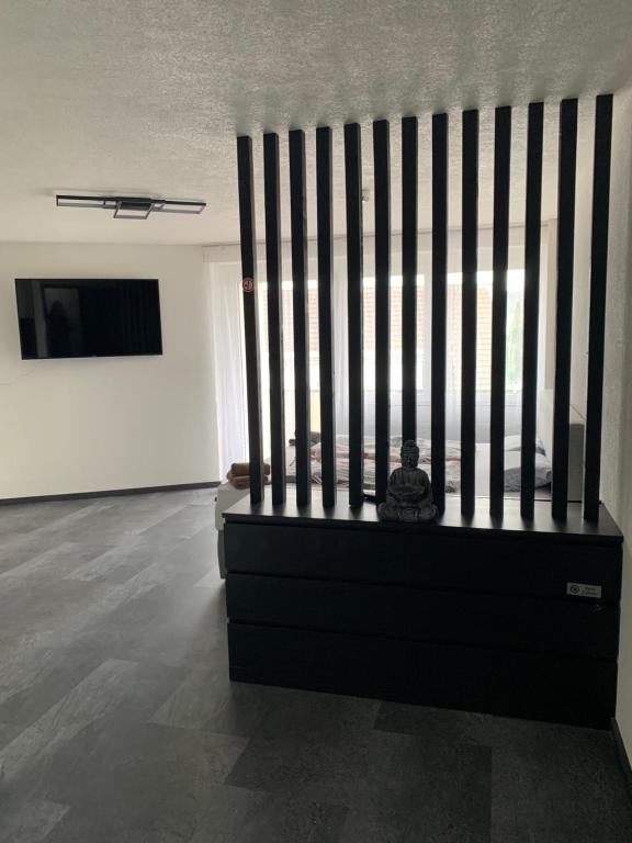 TV a/nebo společenská místnost v ubytování Apartment Aqualonnähe