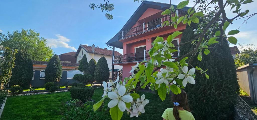 Zahrada ubytování Guest House Lona