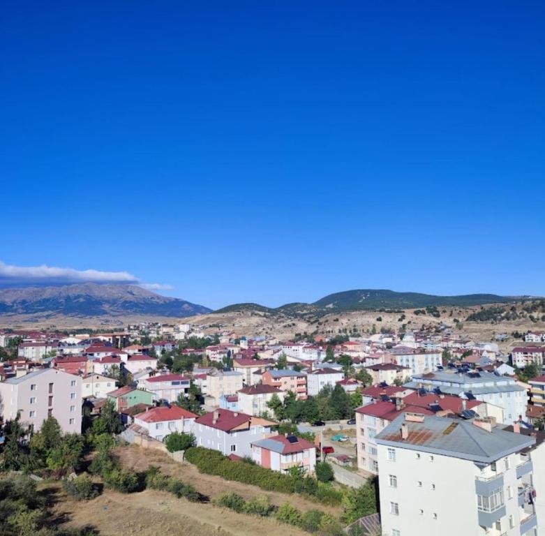 GumushaneにあるGÜMÜŞHANE ŞİRAN ÖZEL KİRALIK TATİL DAİRESiの家並み・山並みを背景にした都市