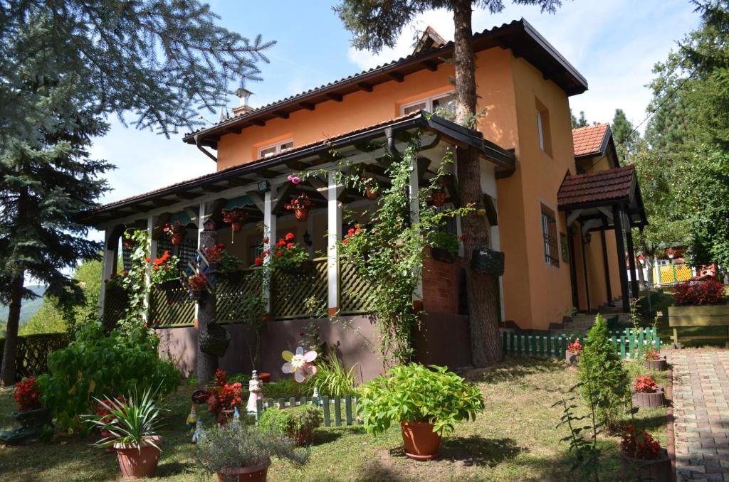 a house with flowers in front of it at Hondo Holiday Home in Rakovica