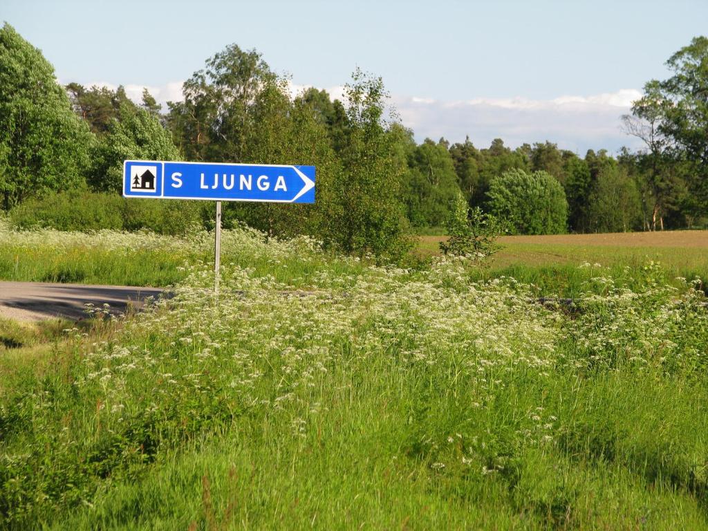 Příroda nedaleko hostelu