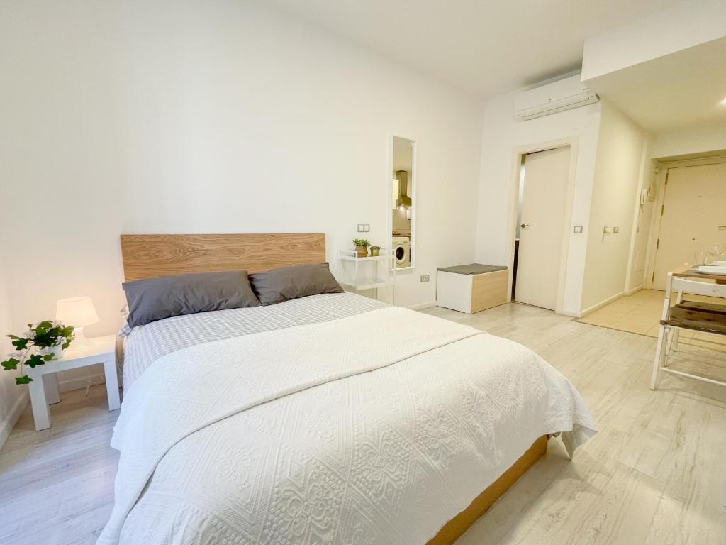Łóżko lub łóżka w pokoju w obiekcie Estudio en Malaga centro