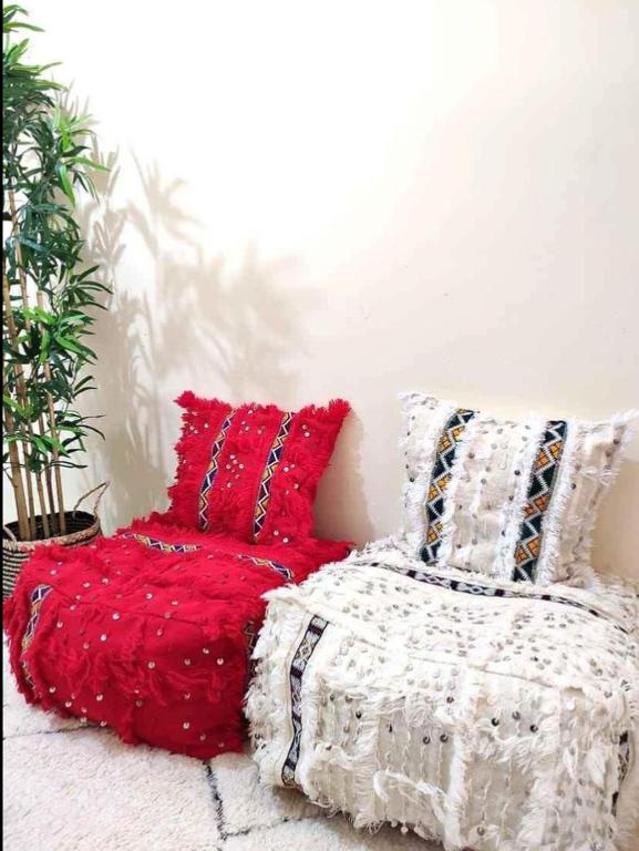 RIAD SHIFA Marrakech updated Prices 2024 riad-shifa-marrakech-updated-prices-2024