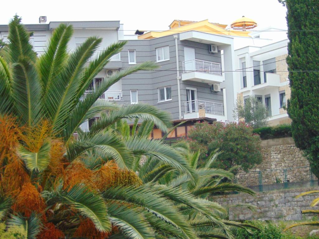 ウルツィニにあるFamily House Milic in Ulcinjのヤシの木が前に立つ背の高い白い建物