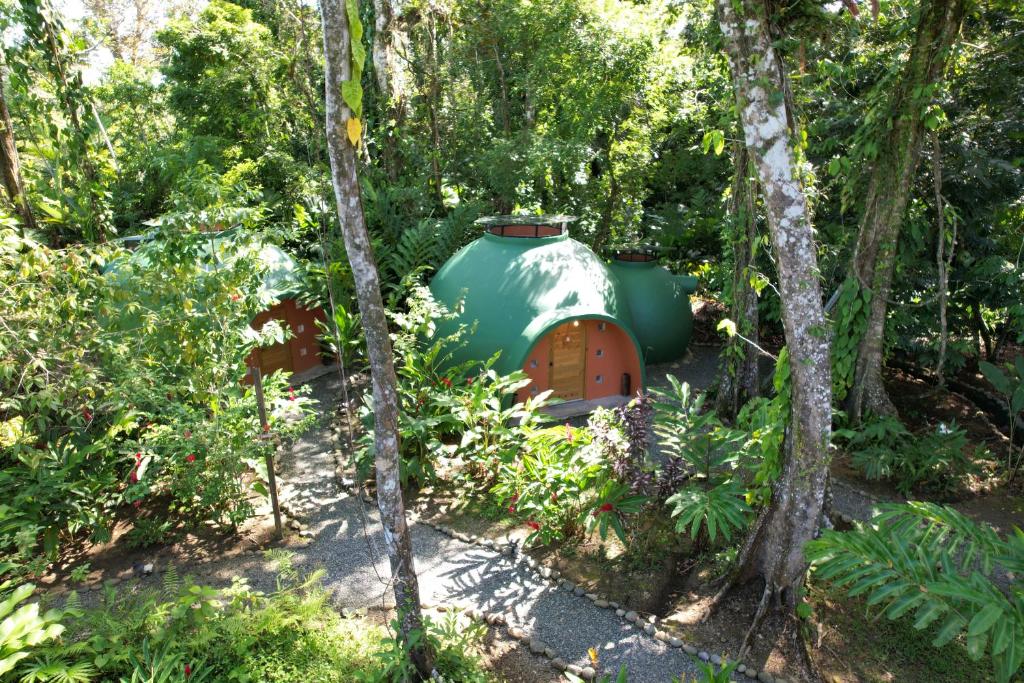 un grand objet vert au milieu d'une forêt dans l'établissement Nowhere, à Bocas del Toro